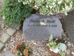 Thom E. Hald.JPG